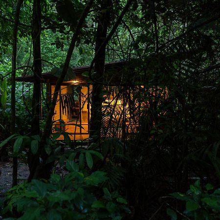 Hamadryade Lodge Puerto Misahuallí Εξωτερικό φωτογραφία