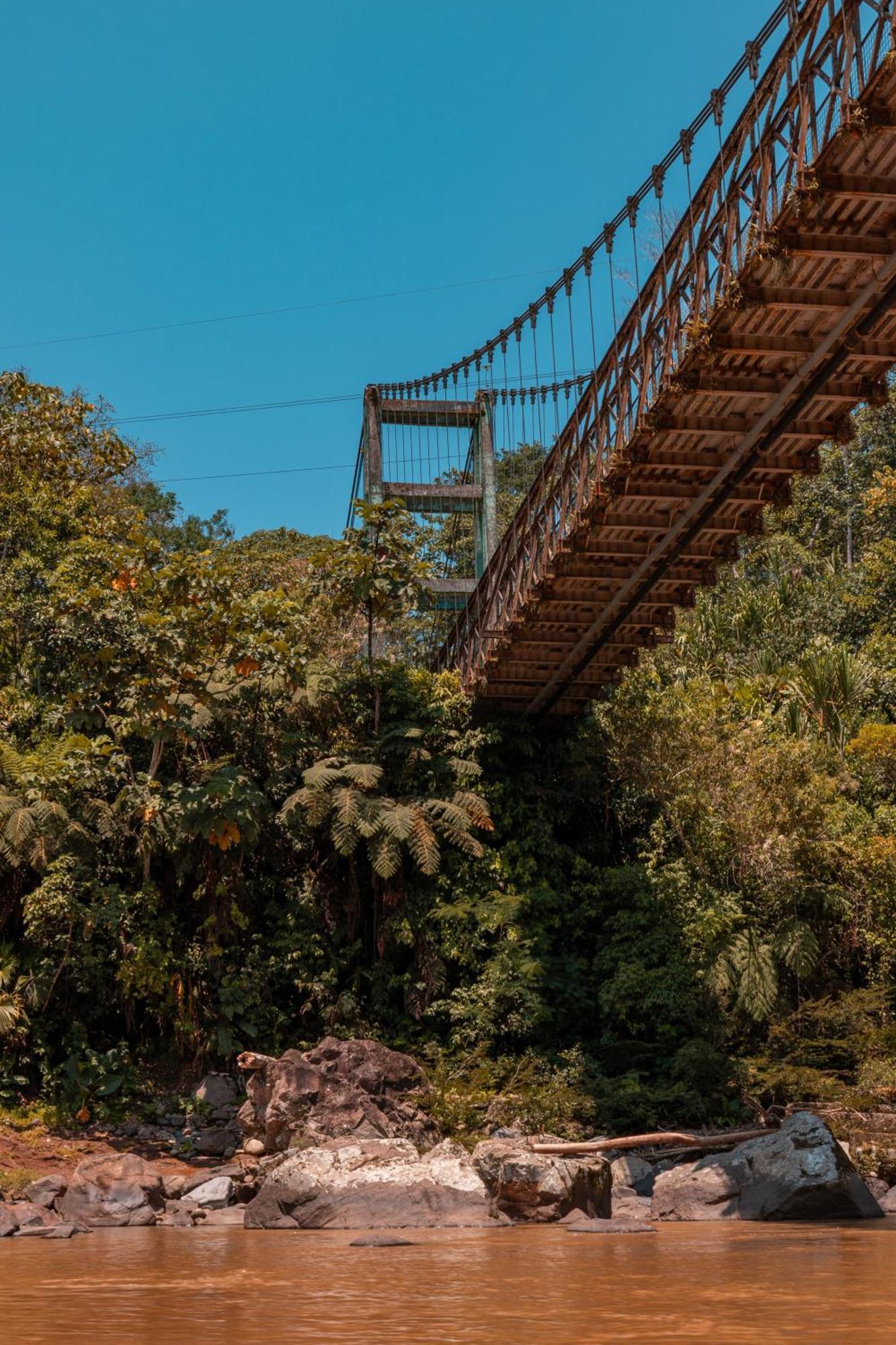 Hamadryade Lodge Puerto Misahuallí Εξωτερικό φωτογραφία