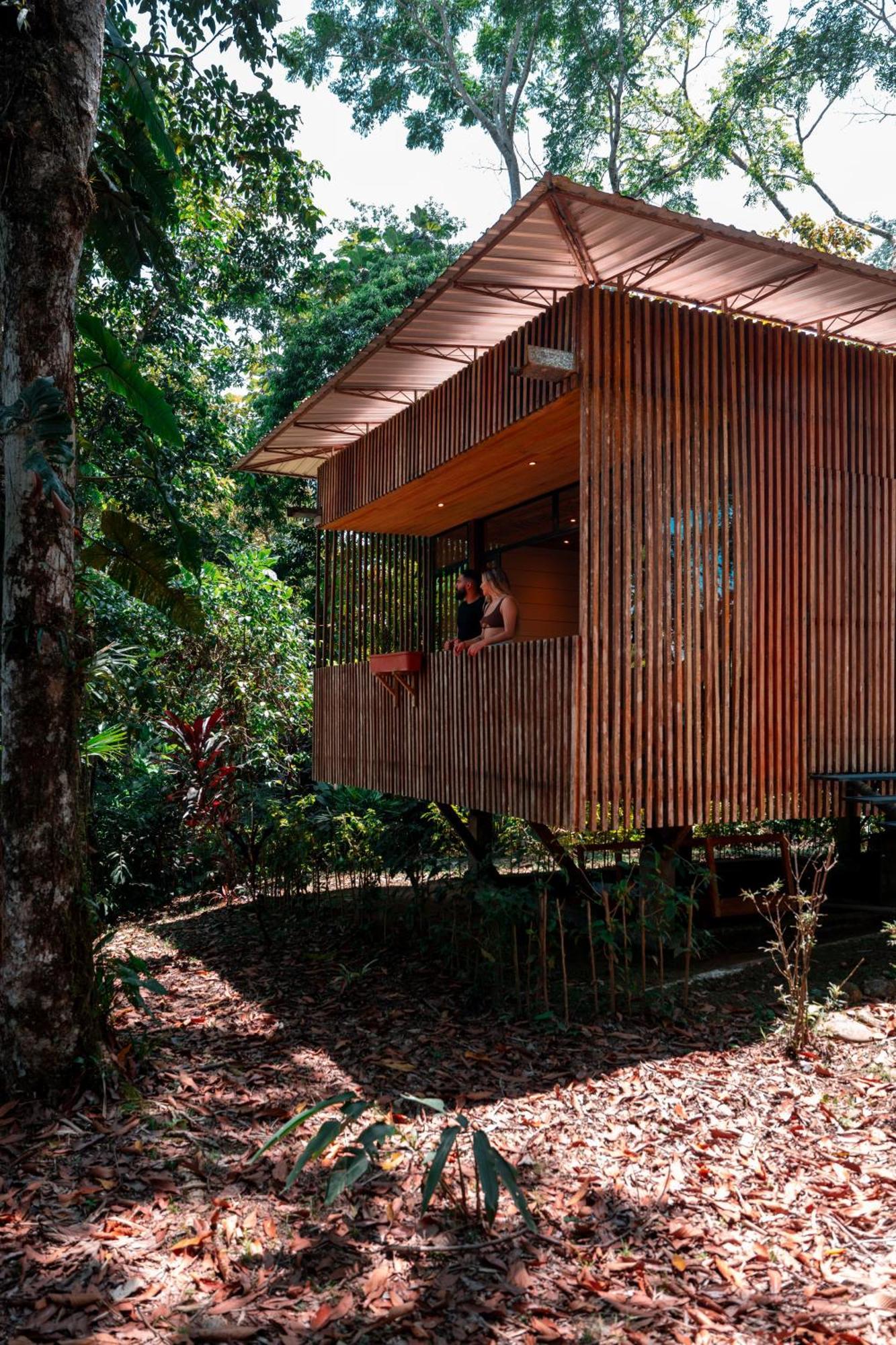 Hamadryade Lodge Puerto Misahuallí Εξωτερικό φωτογραφία