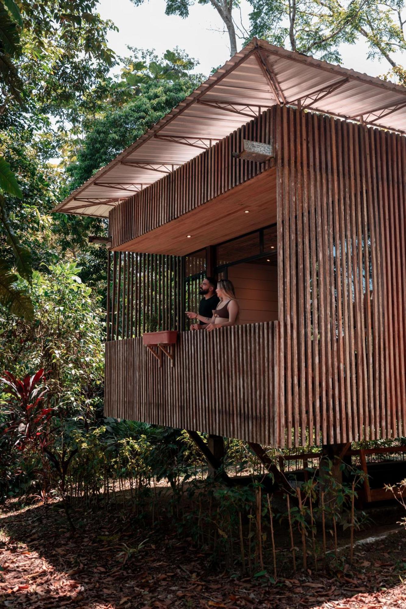 Hamadryade Lodge Puerto Misahuallí Εξωτερικό φωτογραφία