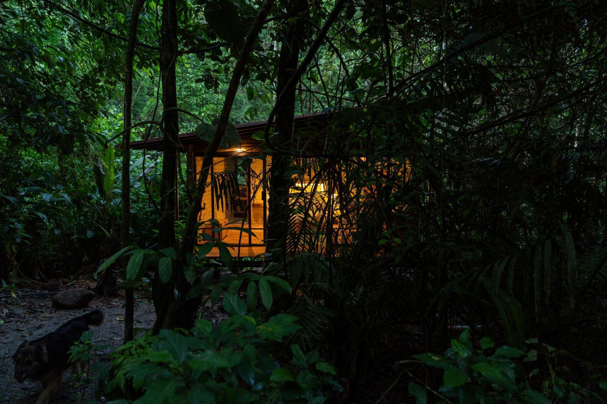 Hamadryade Lodge Puerto Misahuallí Εξωτερικό φωτογραφία